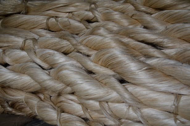 Abacá (Banana Hemp)