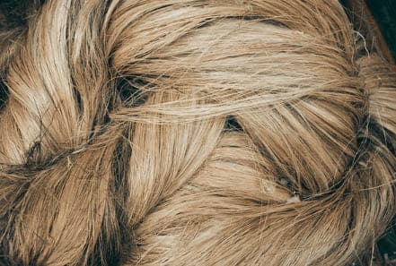 Abaca (Banana Hemp)