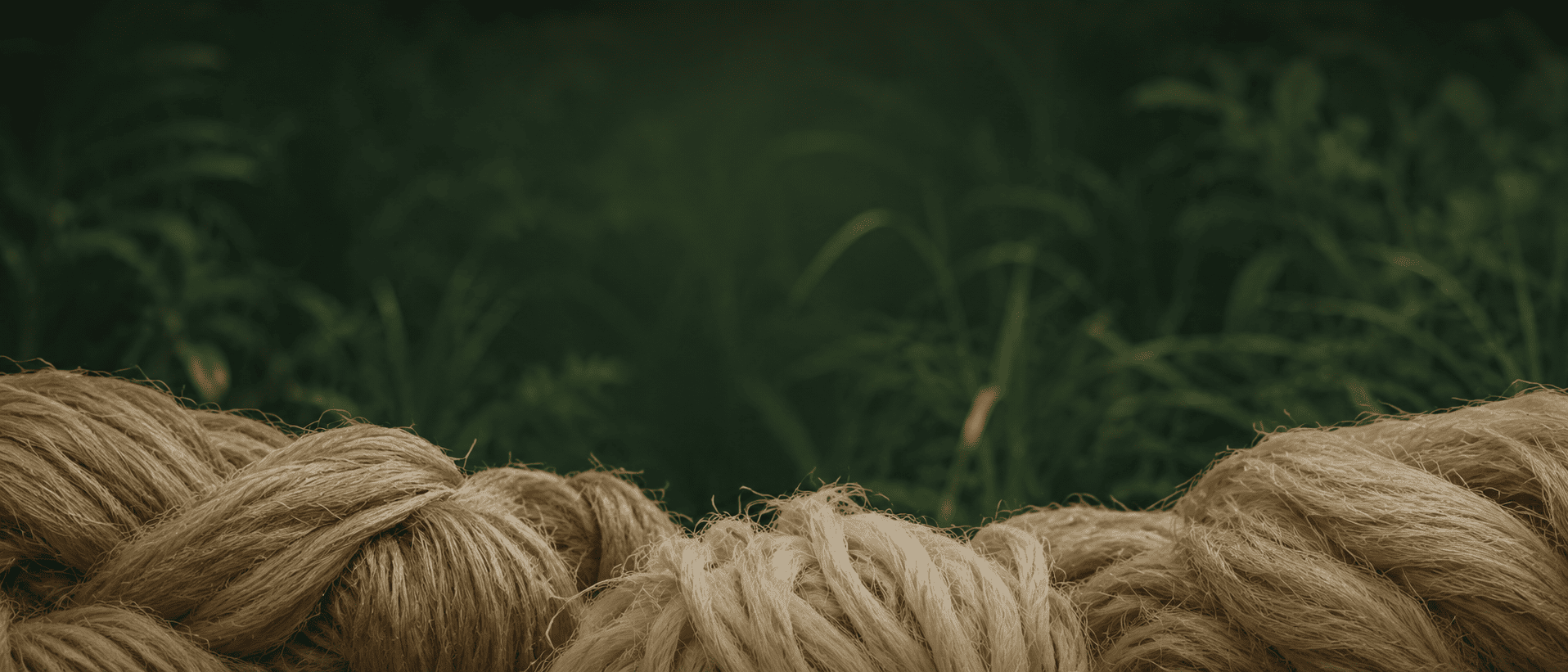 Abaca natural fiber bundles